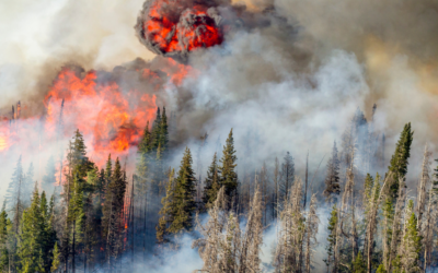 Wildfire Smoke Safety for Seniors in North Idaho